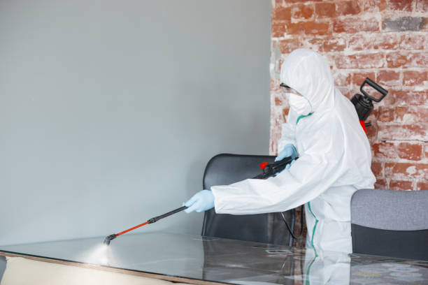 Why You Should Choose Our Mold Remediation Services in Foxfire, NC